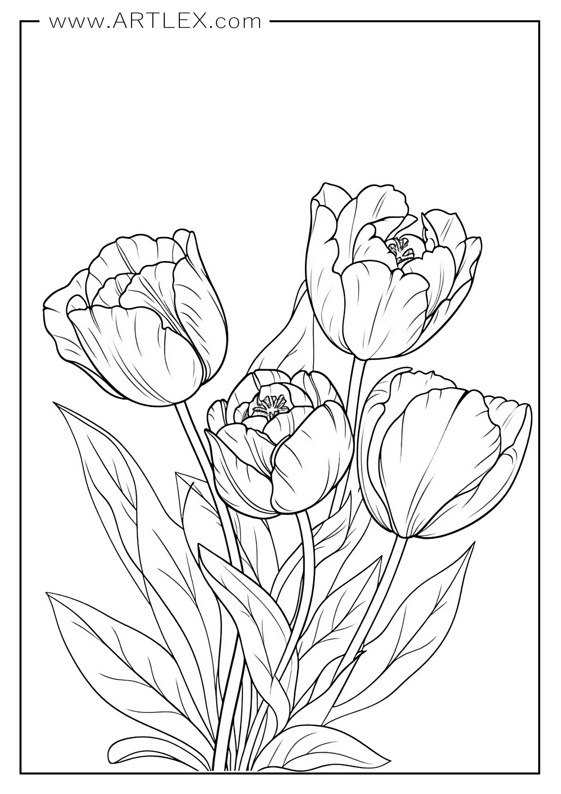 159 Coloring Pages with a Lot of Detail Printable 49