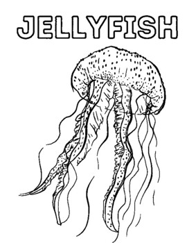 195 Jellyfish Coloring Page Designs: Underwater Beauty in Color 10