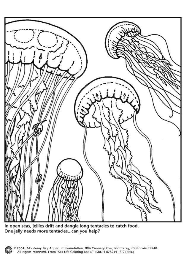 195 Jellyfish Coloring Page Designs: Underwater Beauty in Color 102