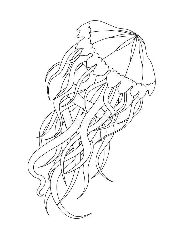 195 Jellyfish Coloring Page Designs: Underwater Beauty in Color 114