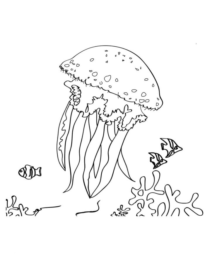 195 Jellyfish Coloring Page Designs: Underwater Beauty in Color 116