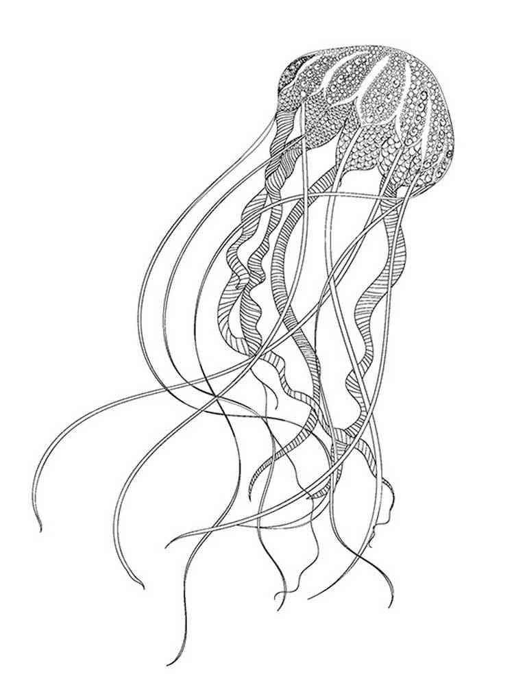 195 Jellyfish Coloring Page Designs: Underwater Beauty in Color 135