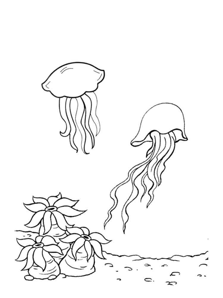 195 Jellyfish Coloring Page Designs: Underwater Beauty in Color 141