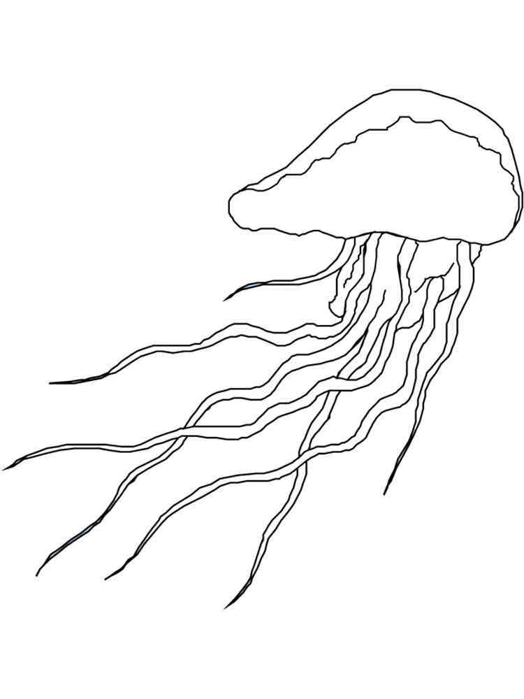 195 Jellyfish Coloring Page Designs: Underwater Beauty in Color 142