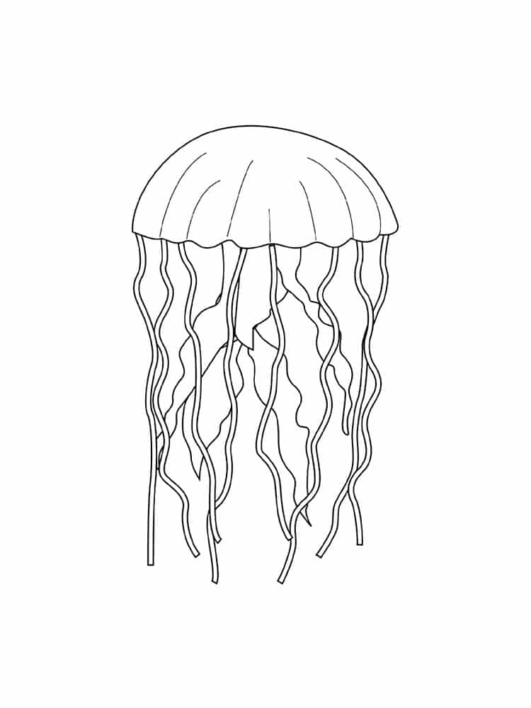 195 Jellyfish Coloring Page Designs: Underwater Beauty in Color 143