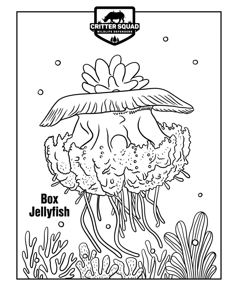 195 Jellyfish Coloring Page Designs: Underwater Beauty in Color 160