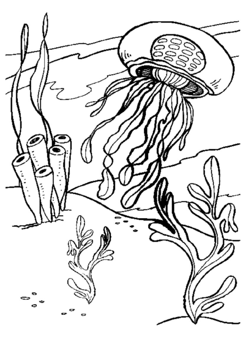 195 Jellyfish Coloring Page Designs: Underwater Beauty in Color 164