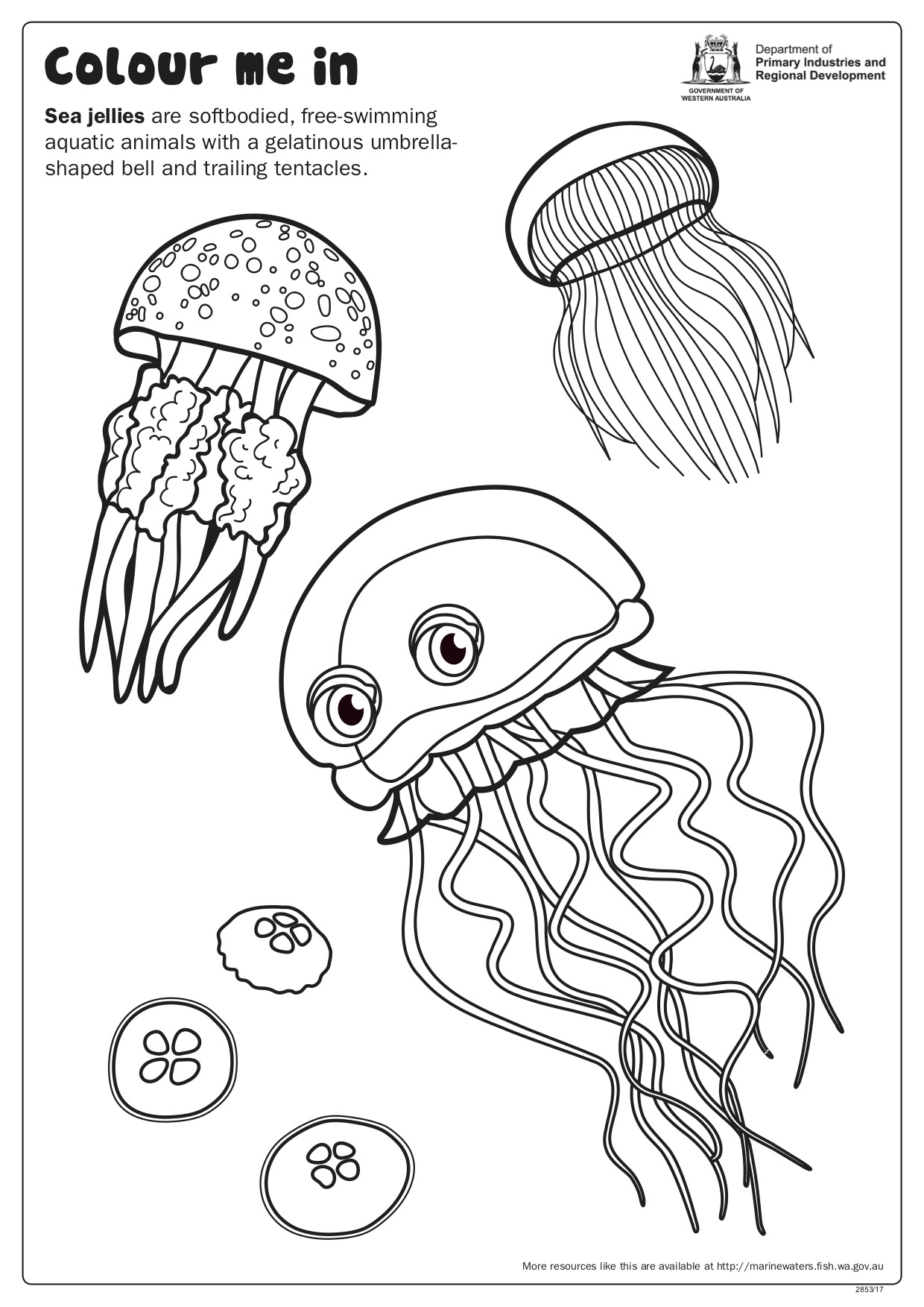 195 Jellyfish Coloring Page Designs: Underwater Beauty in Color 181