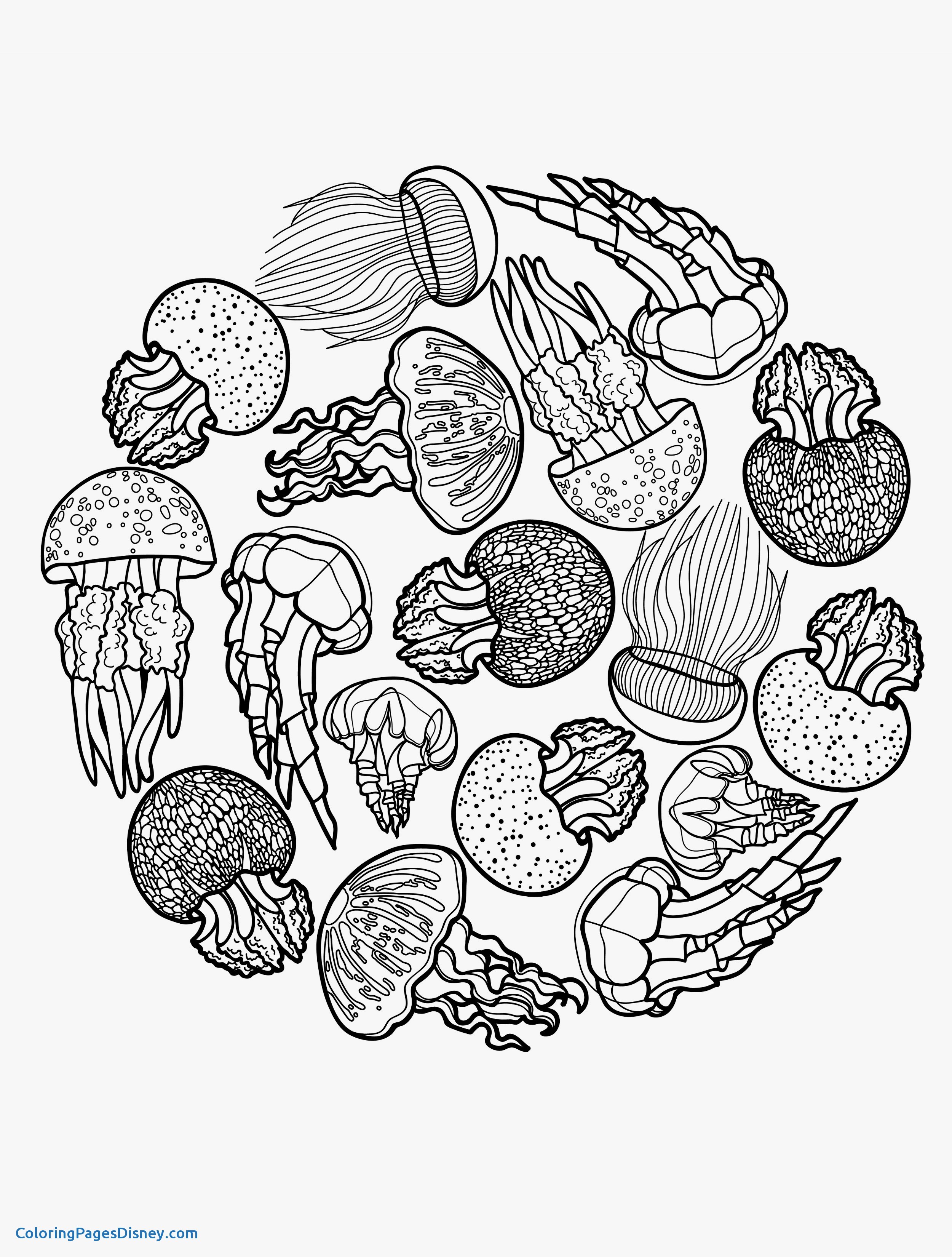 195 Jellyfish Coloring Page Designs: Underwater Beauty in Color 193