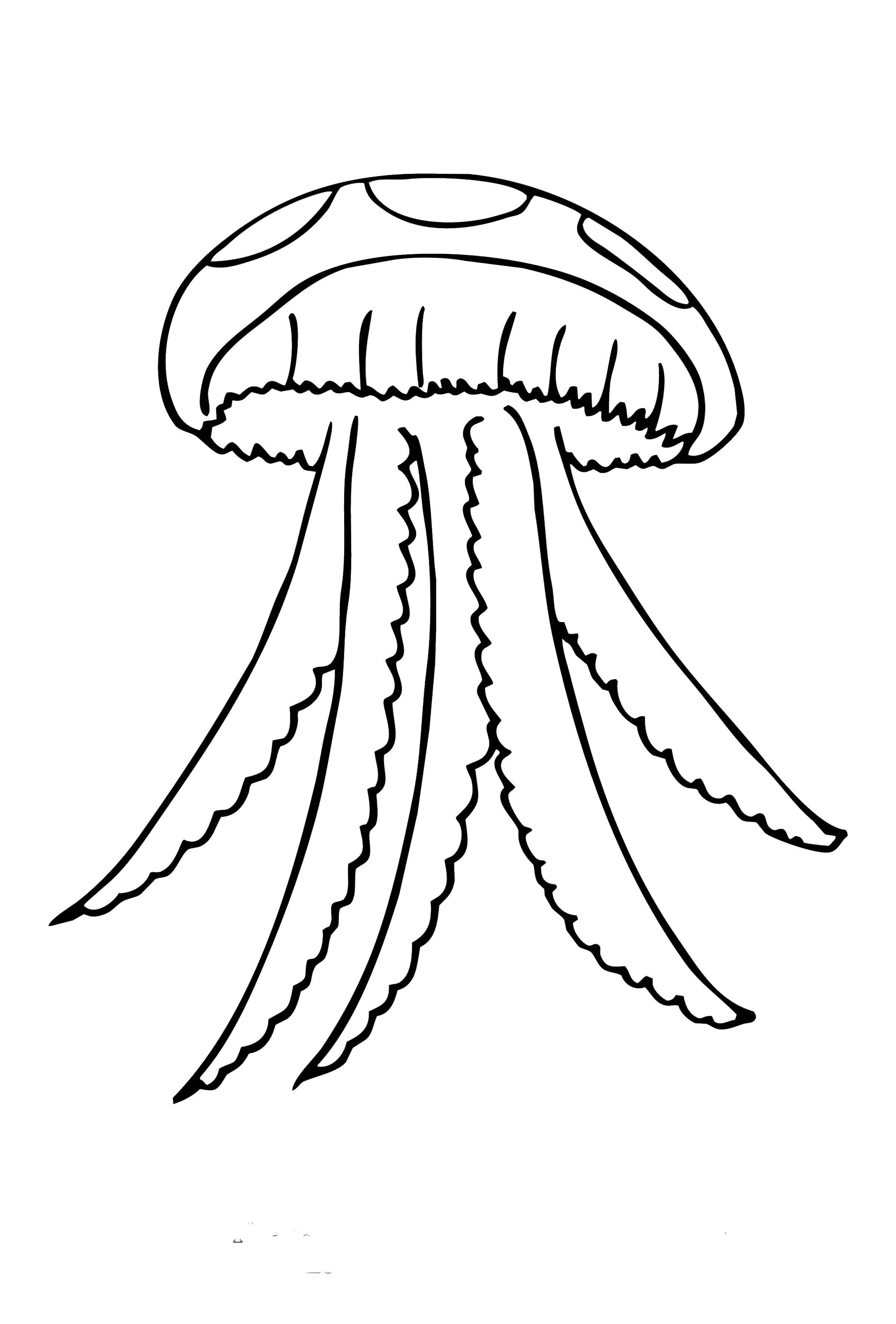 195 Jellyfish Coloring Page Designs: Underwater Beauty in Color 195