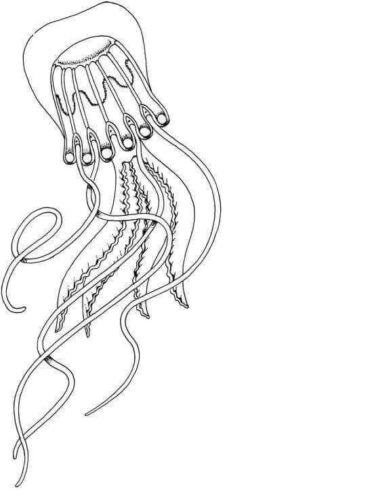 195 Jellyfish Coloring Page Designs: Underwater Beauty in Color 35