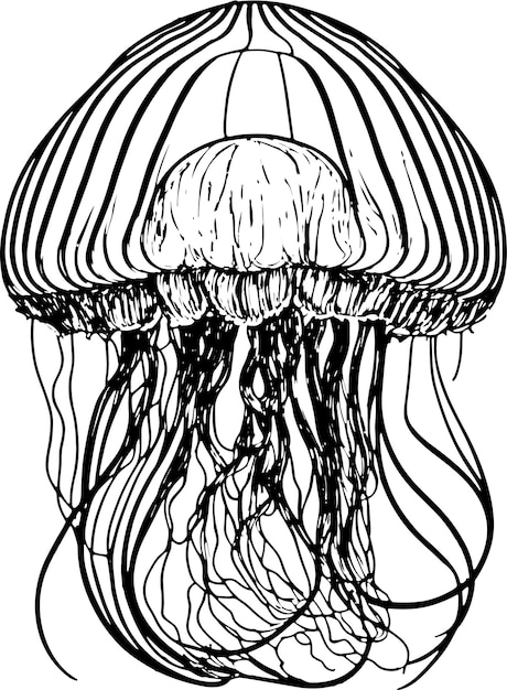 195 Jellyfish Coloring Page Designs: Underwater Beauty in Color 52