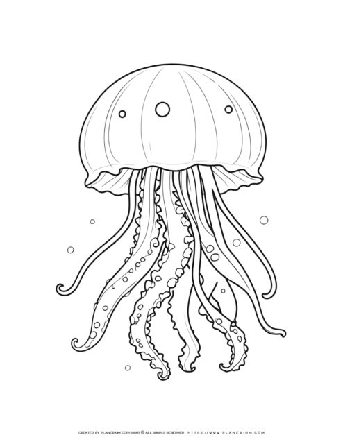 195 Jellyfish Coloring Page Designs: Underwater Beauty in Color 58