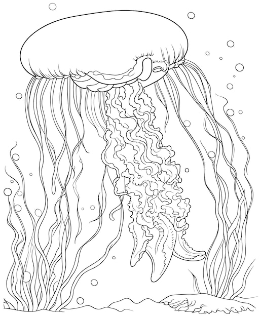 195 Jellyfish Coloring Page Designs: Underwater Beauty in Color 64
