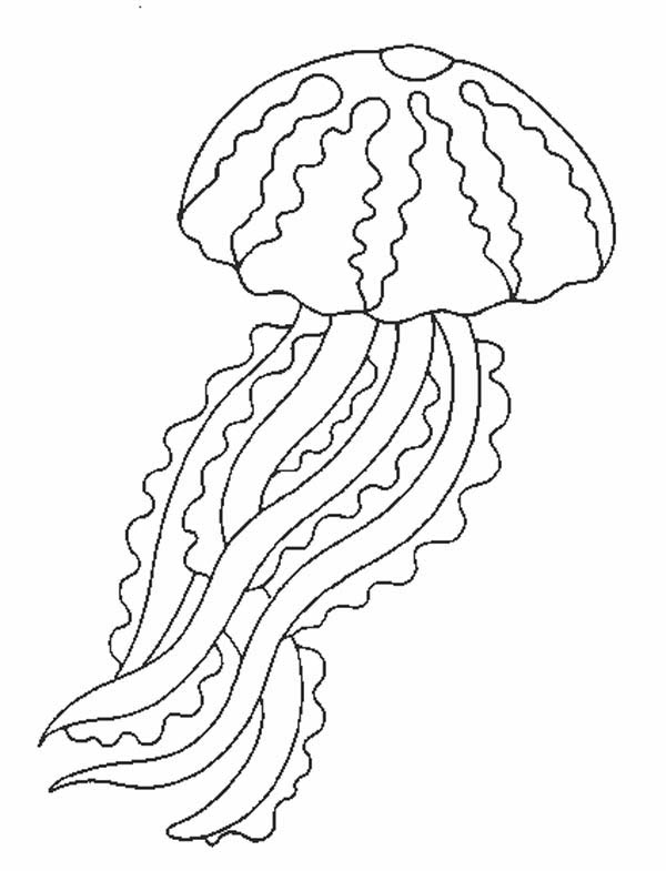 195 Jellyfish Coloring Page Designs: Underwater Beauty in Color 82