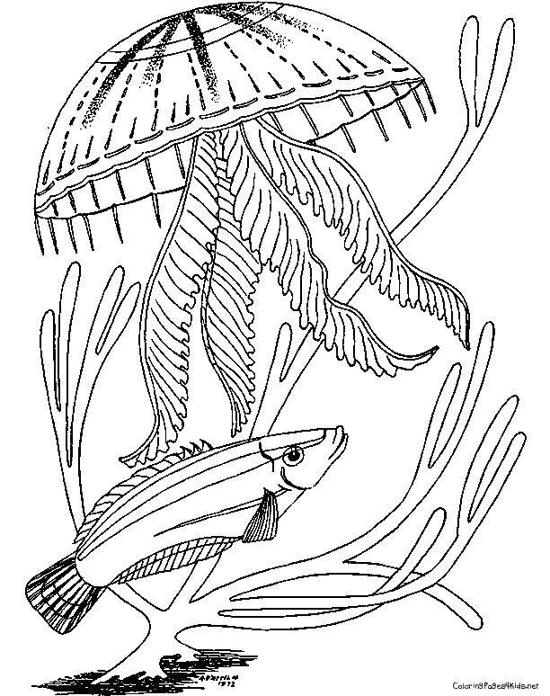 195 Jellyfish Coloring Page Designs: Underwater Beauty in Color 84