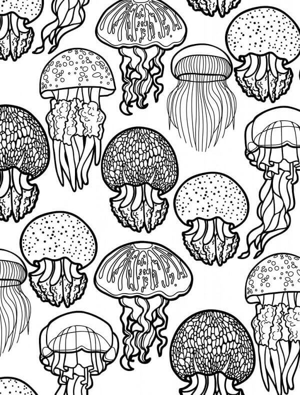 195 Jellyfish Coloring Page Designs: Underwater Beauty in Color 85