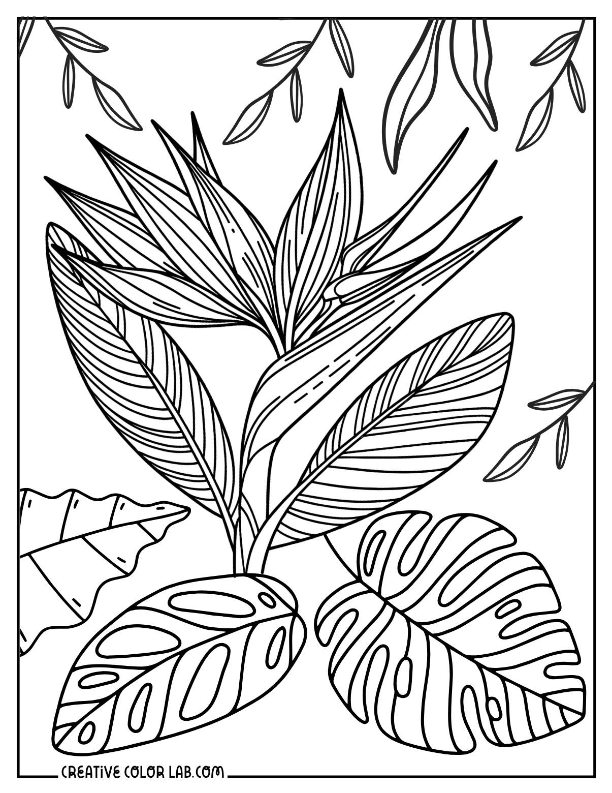 99 Tropical Paradise Coloring Pages Free Printable 13