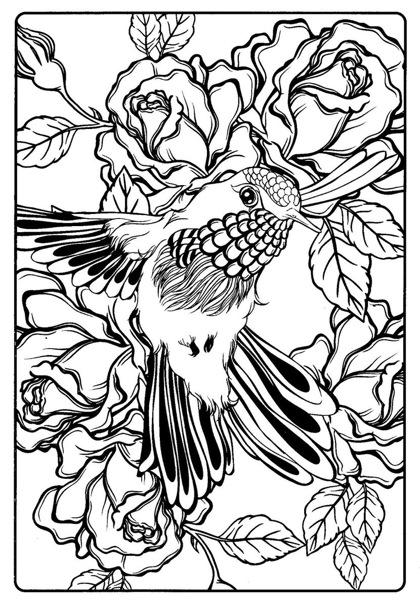 99 Tropical Paradise Coloring Pages Free Printable 20