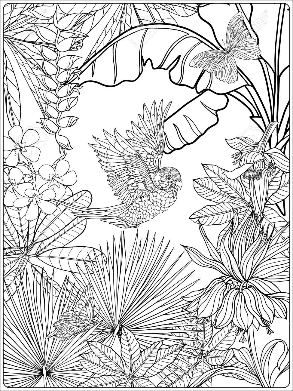 99 Tropical Paradise Coloring Pages Free Printable 22