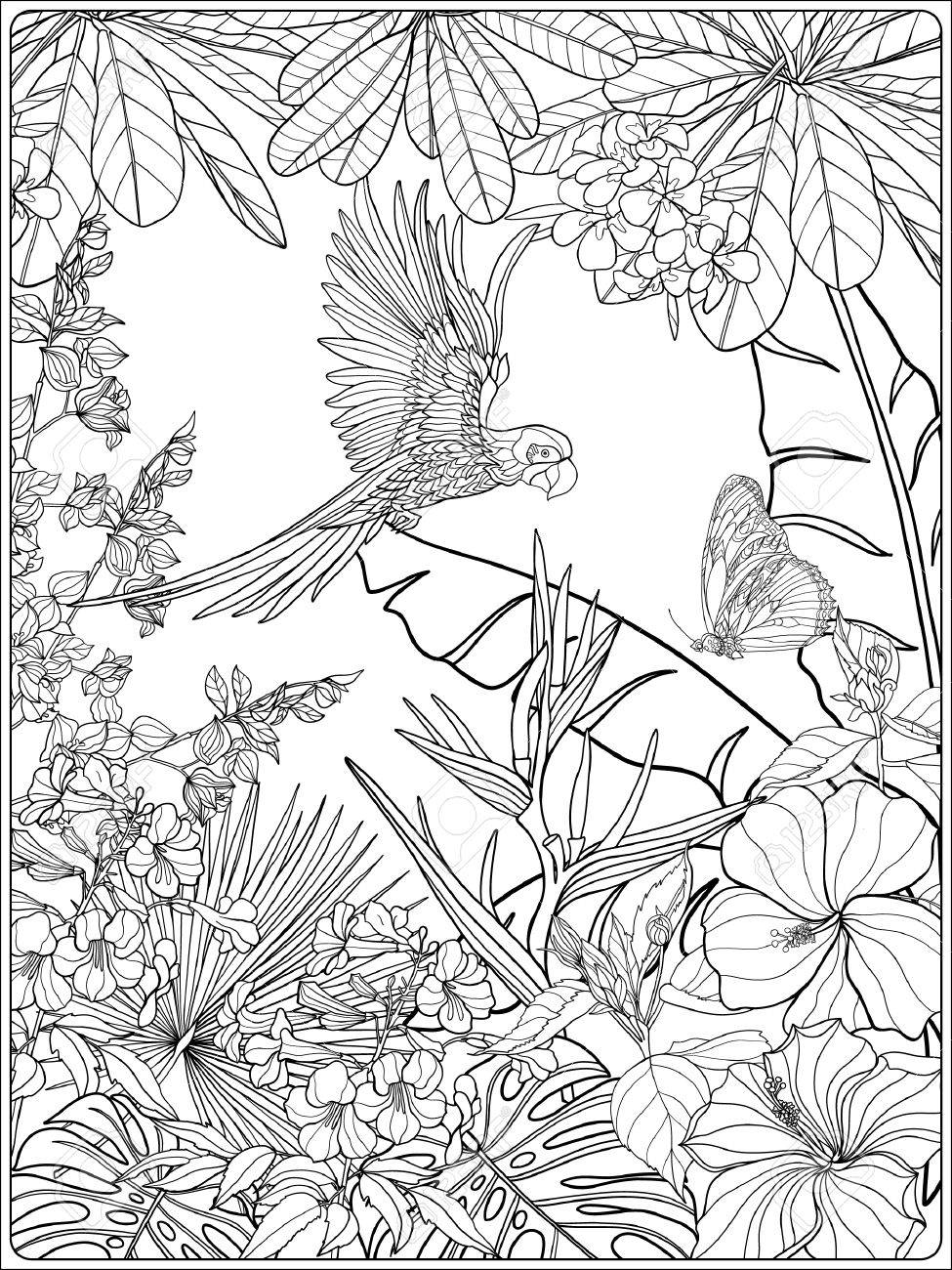 99 Tropical Paradise Coloring Pages Free Printable 25