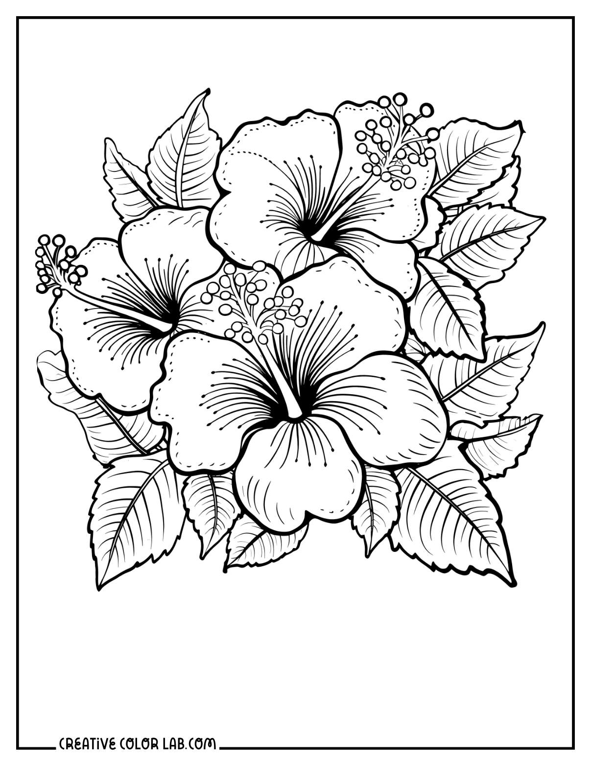 99 Tropical Paradise Coloring Pages Free Printable 40