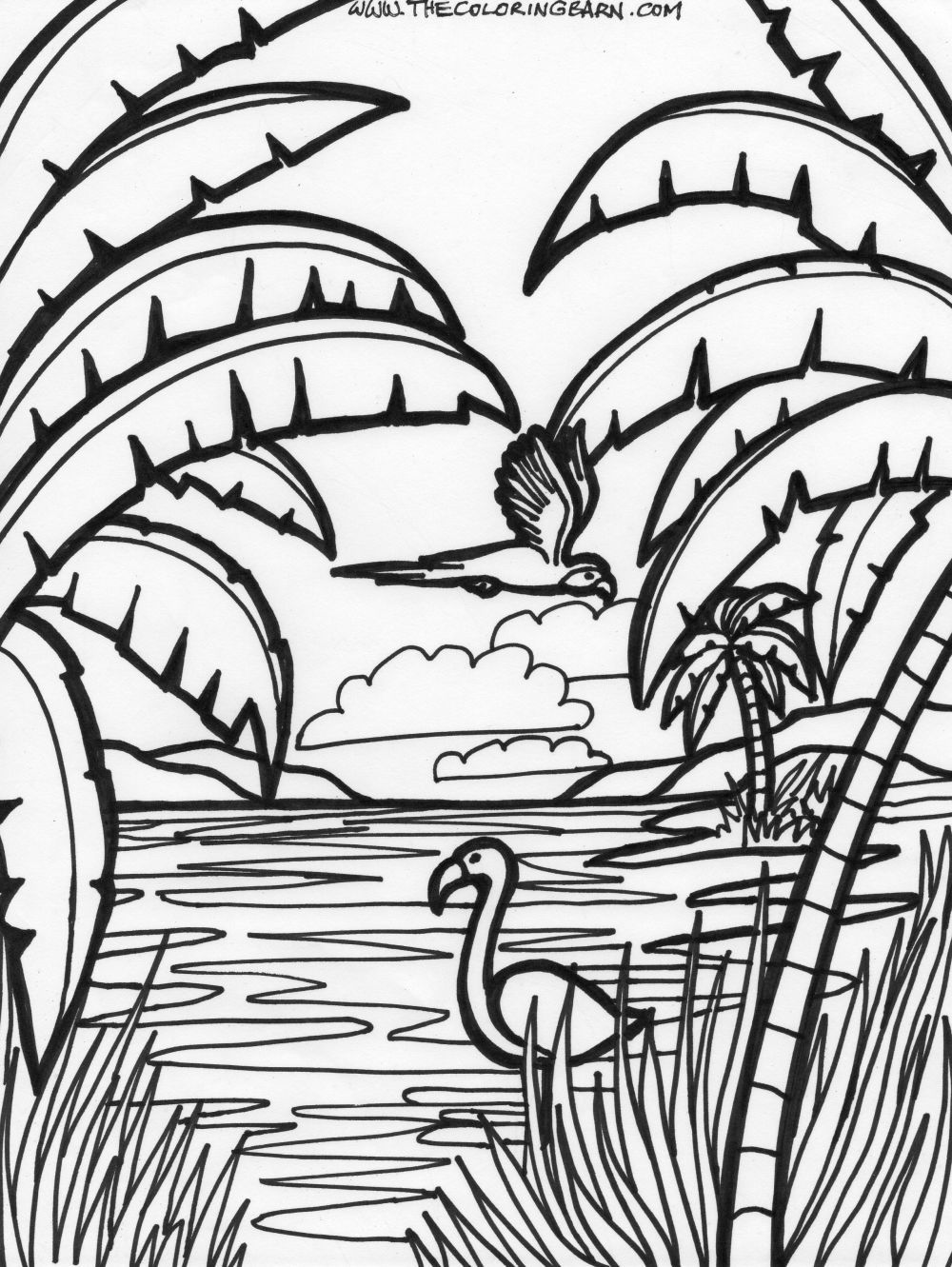 99 Tropical Paradise Coloring Pages Free Printable 52