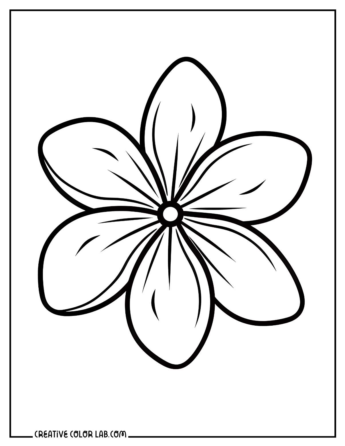 99 Tropical Paradise Coloring Pages Free Printable 54