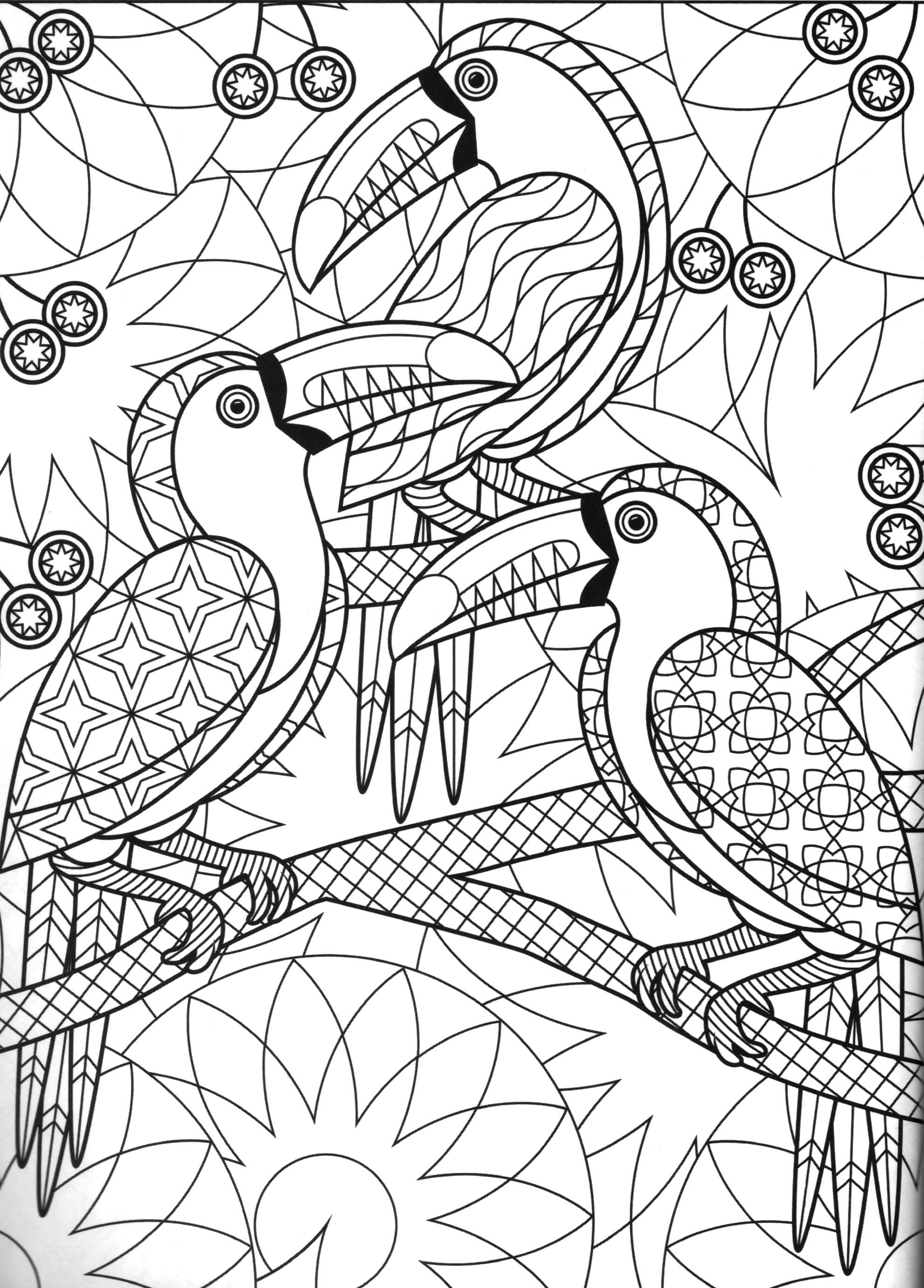 99 Tropical Paradise Coloring Pages Free Printable 61