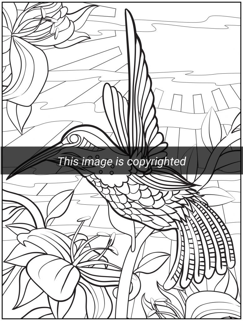 99 Tropical Paradise Coloring Pages Free Printable 69