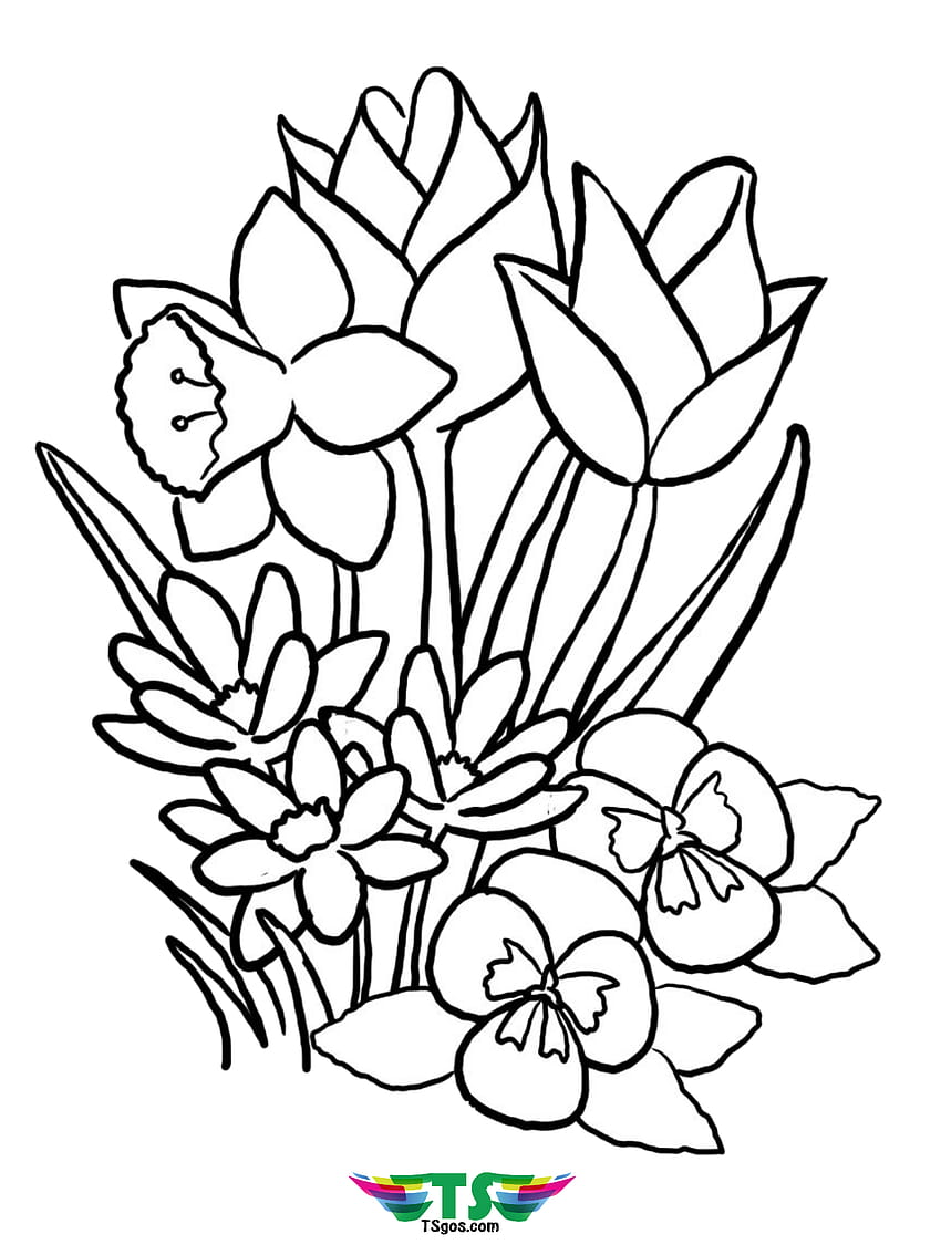 99 Tropical Paradise Coloring Pages Free Printable 71