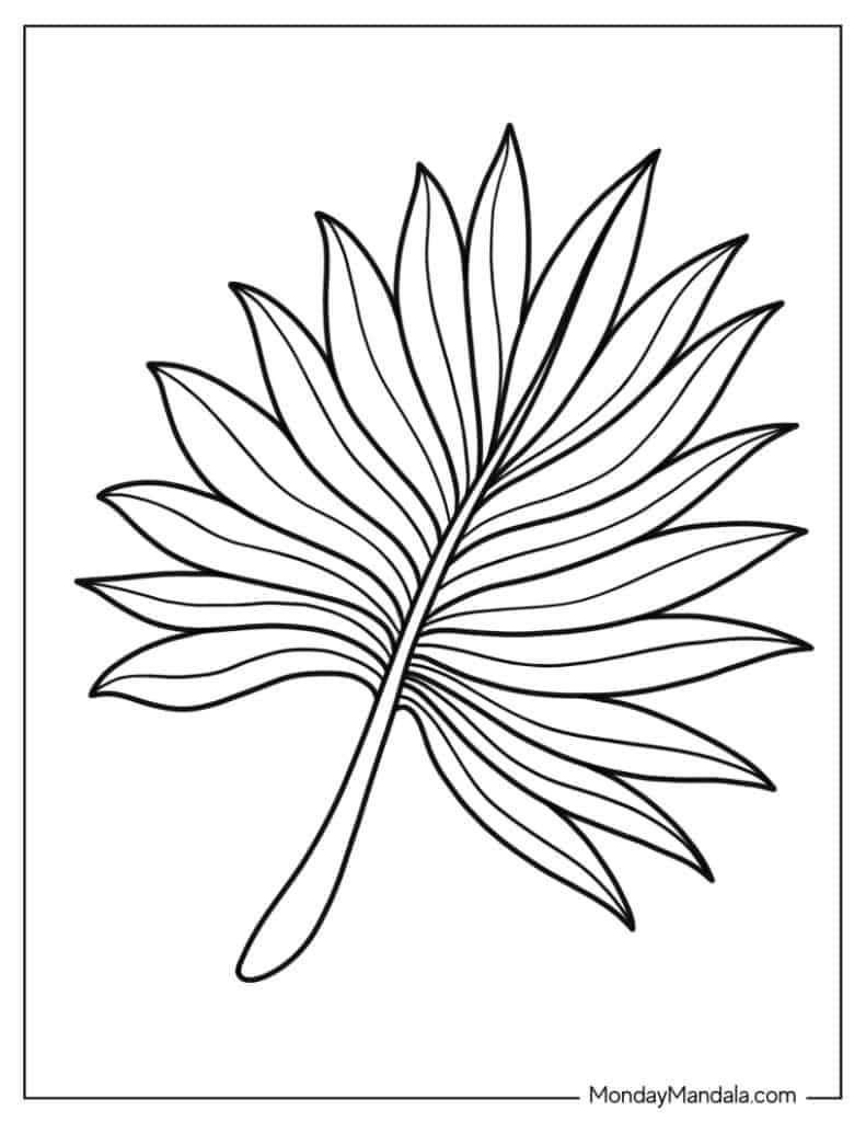 99 Tropical Paradise Coloring Pages Free Printable 78