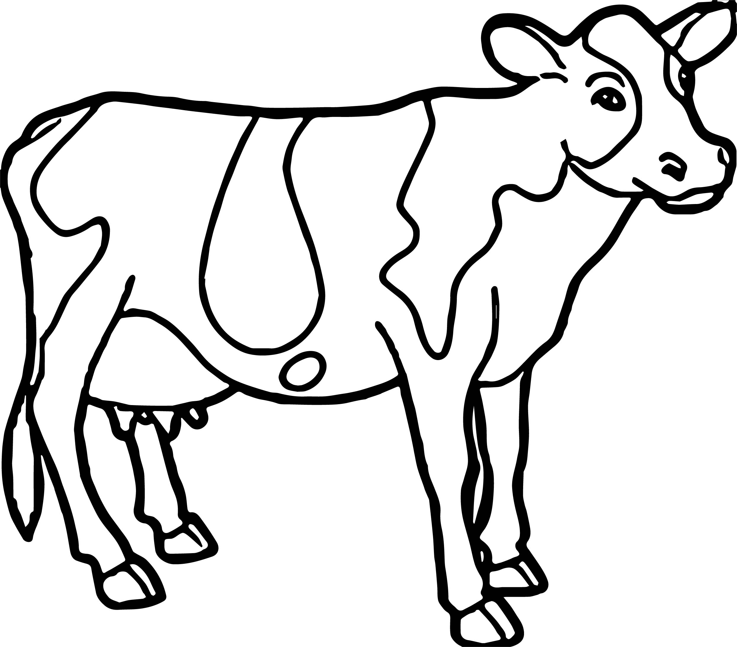 105 Cow Coloring Pages for Kids Printable 1