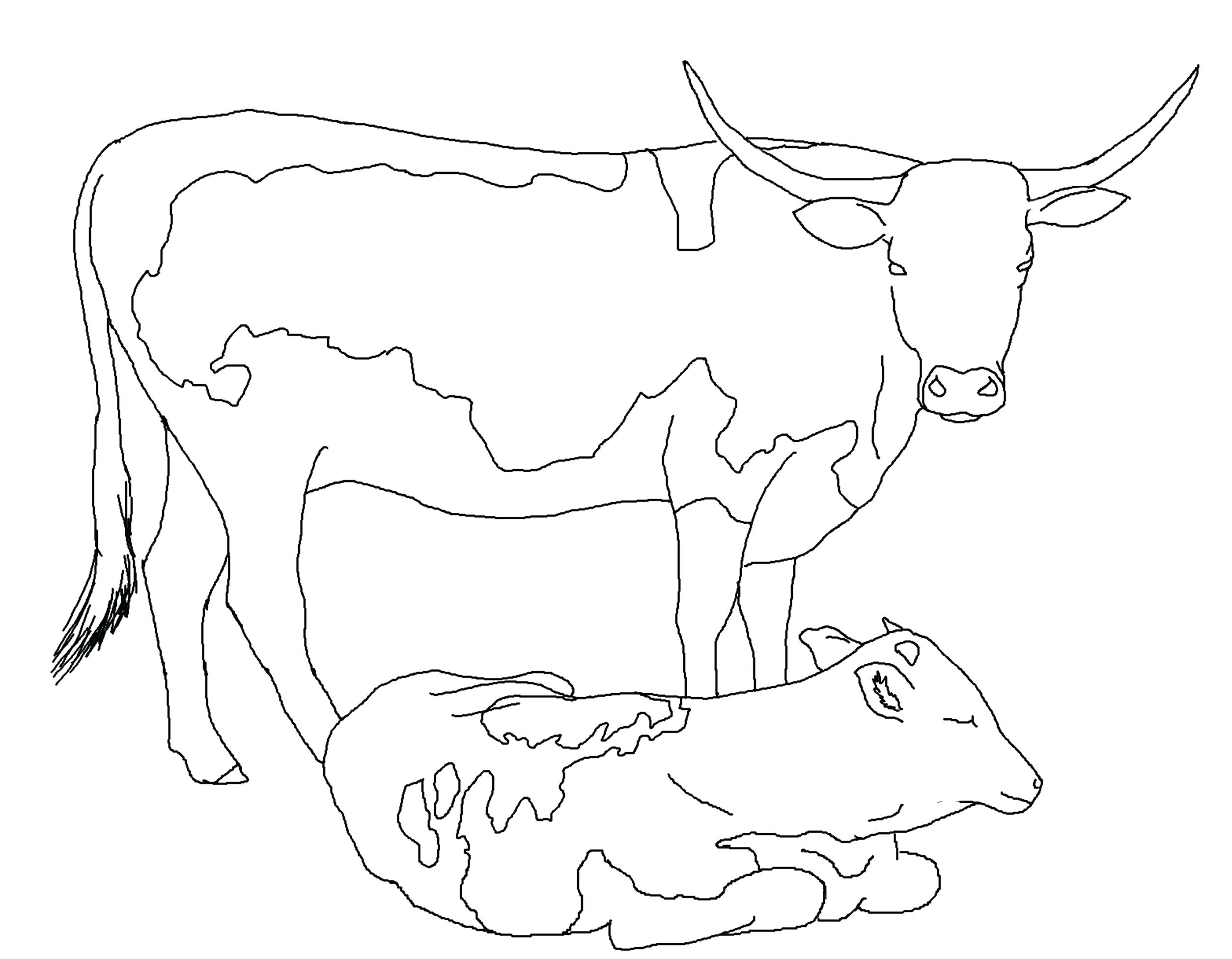 105 Cow Coloring Pages for Kids Printable 15