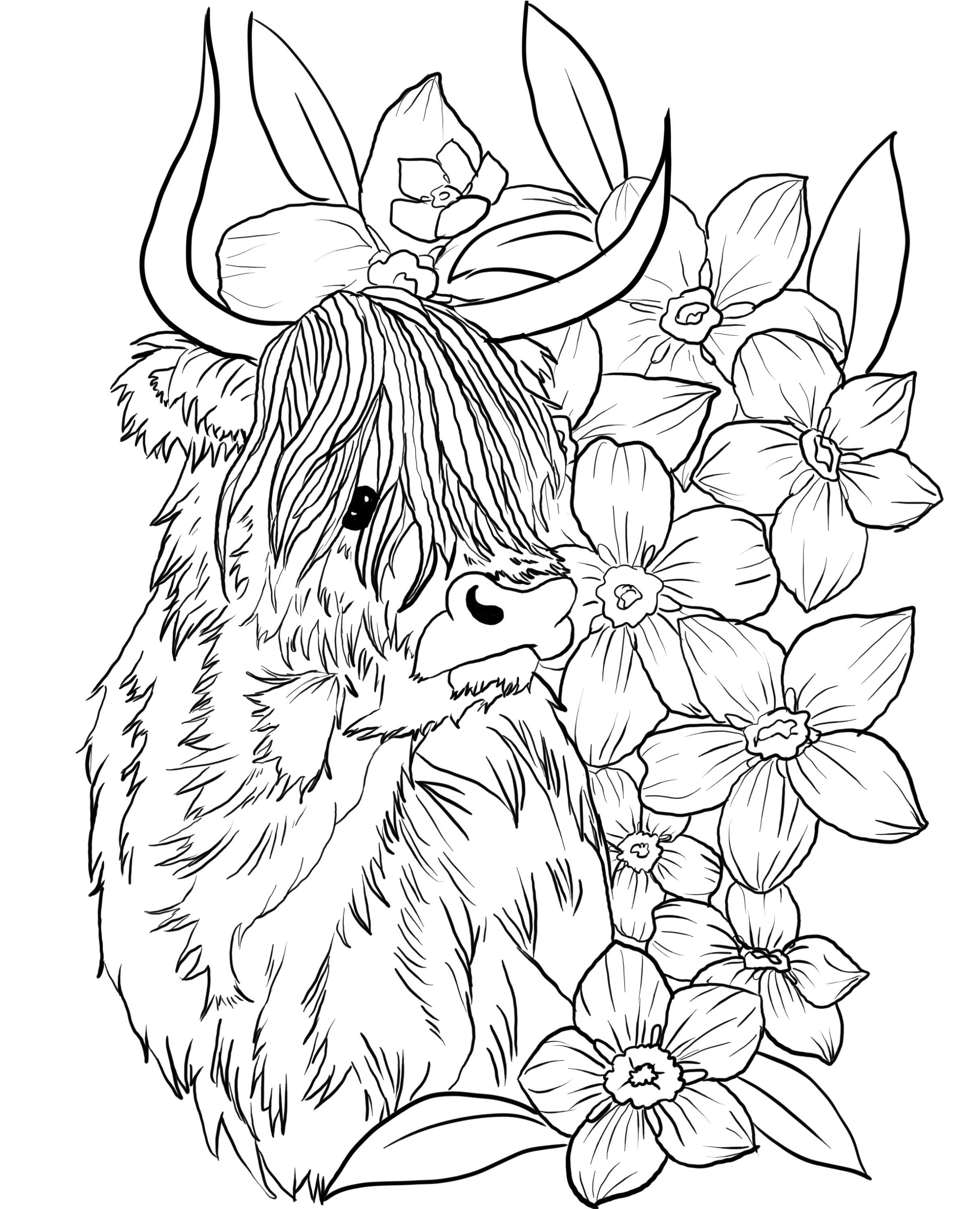 105 Cow Coloring Pages for Kids Printable 20