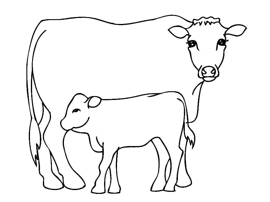 105 Cow Coloring Pages for Kids Printable 21