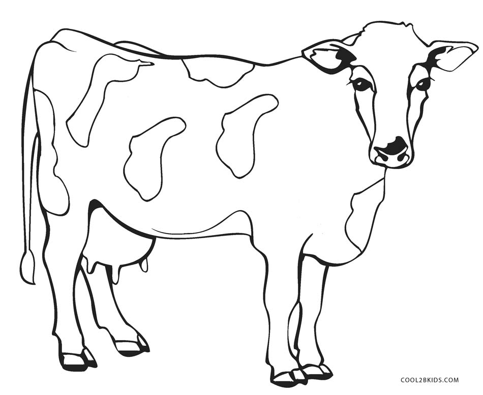 105 Cow Coloring Pages for Kids Printable 22