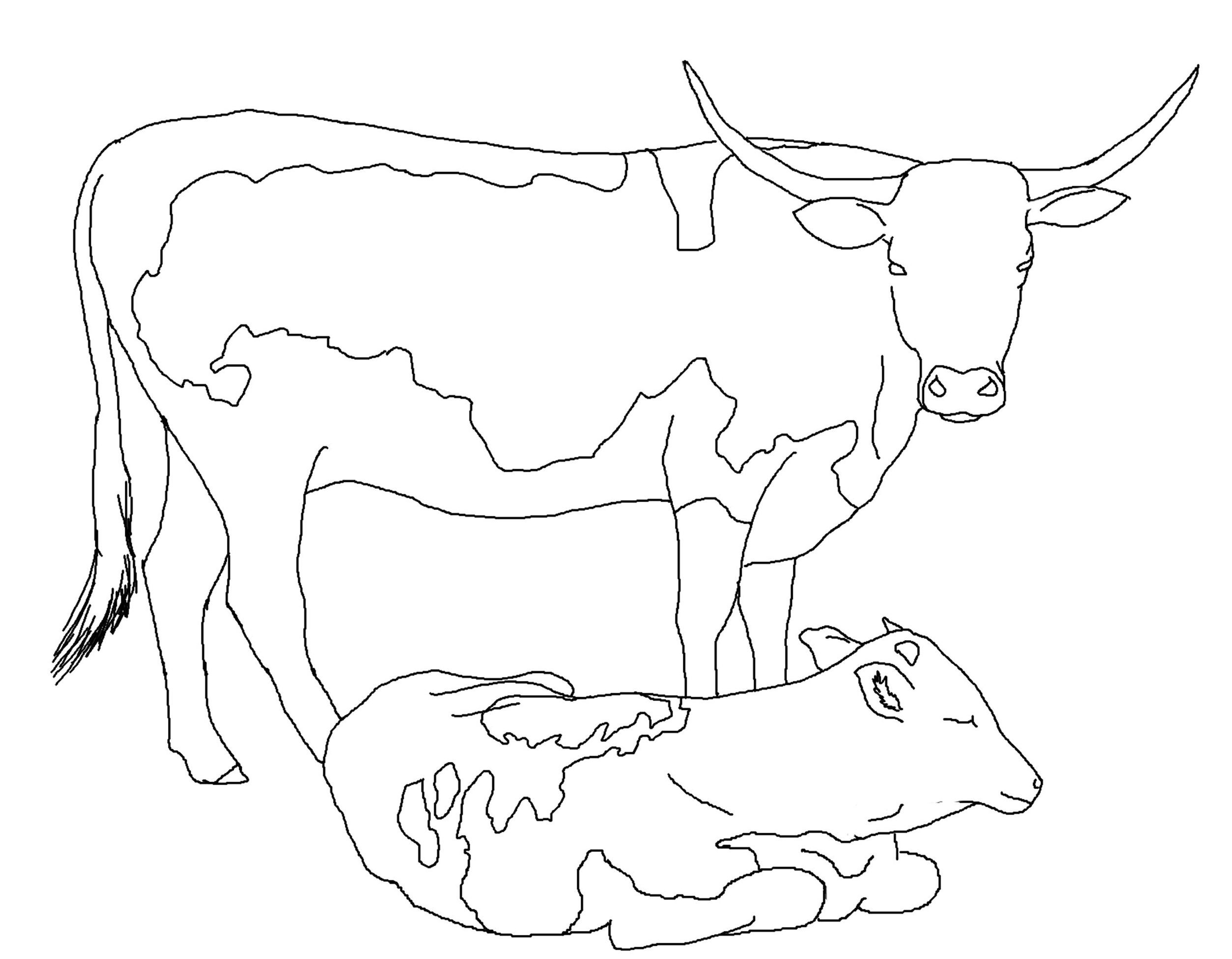 105 Cow Coloring Pages for Kids Printable 31