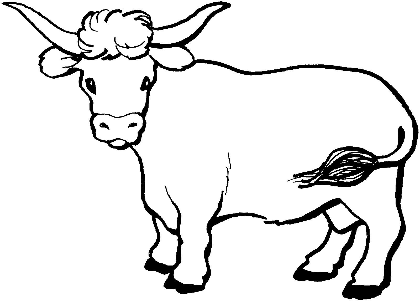 105 Cow Coloring Pages for Kids Printable 39