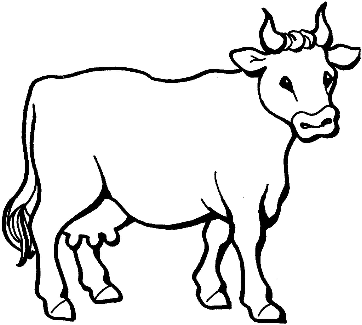 105 Cow Coloring Pages for Kids Printable 4