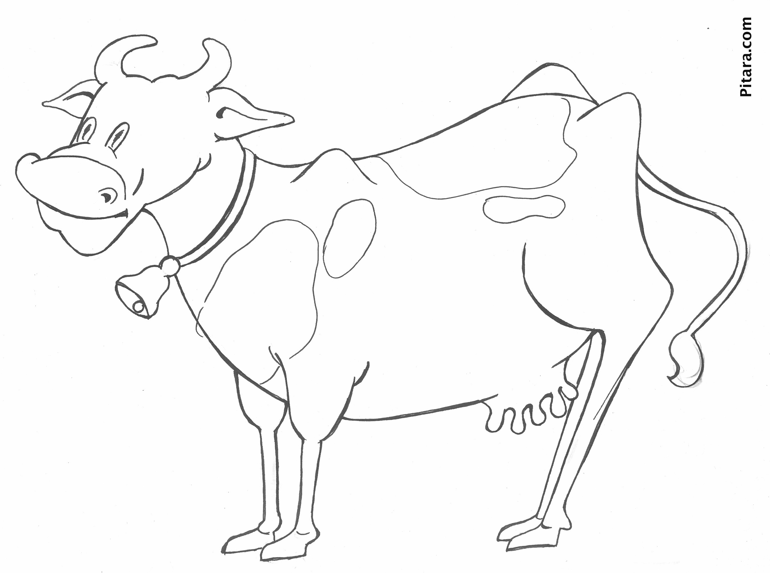 105 Cow Coloring Pages for Kids Printable 48