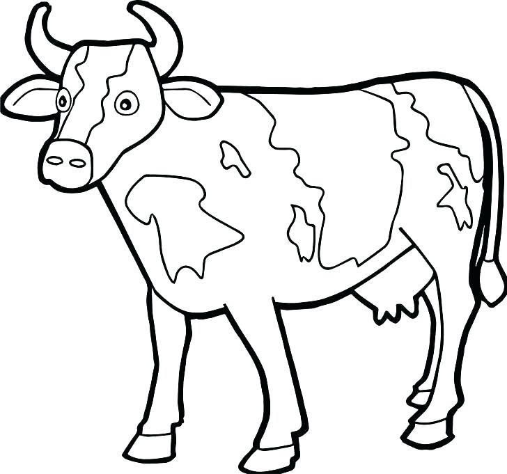 105 Cow Coloring Pages for Kids Printable 49