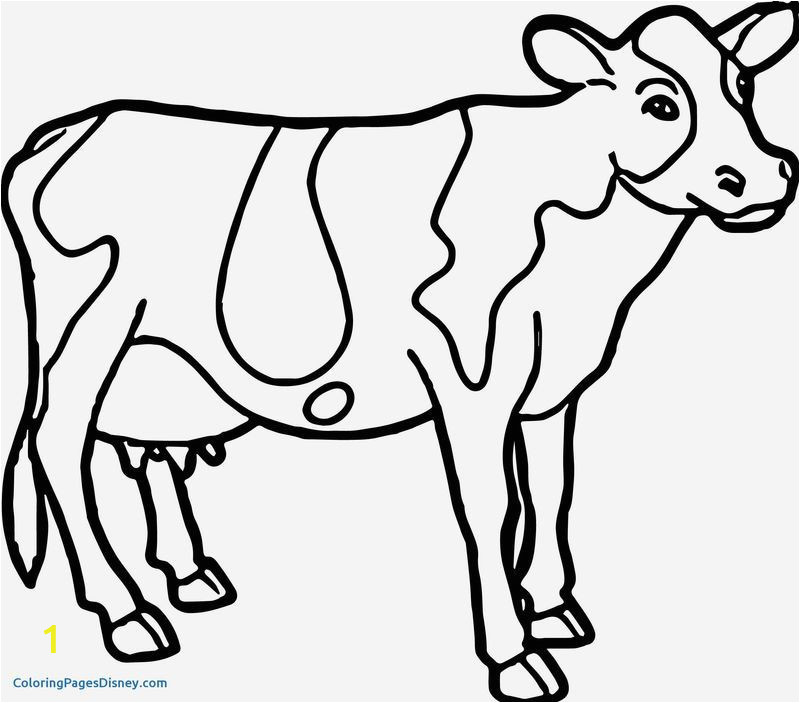 105 Cow Coloring Pages for Kids Printable 56