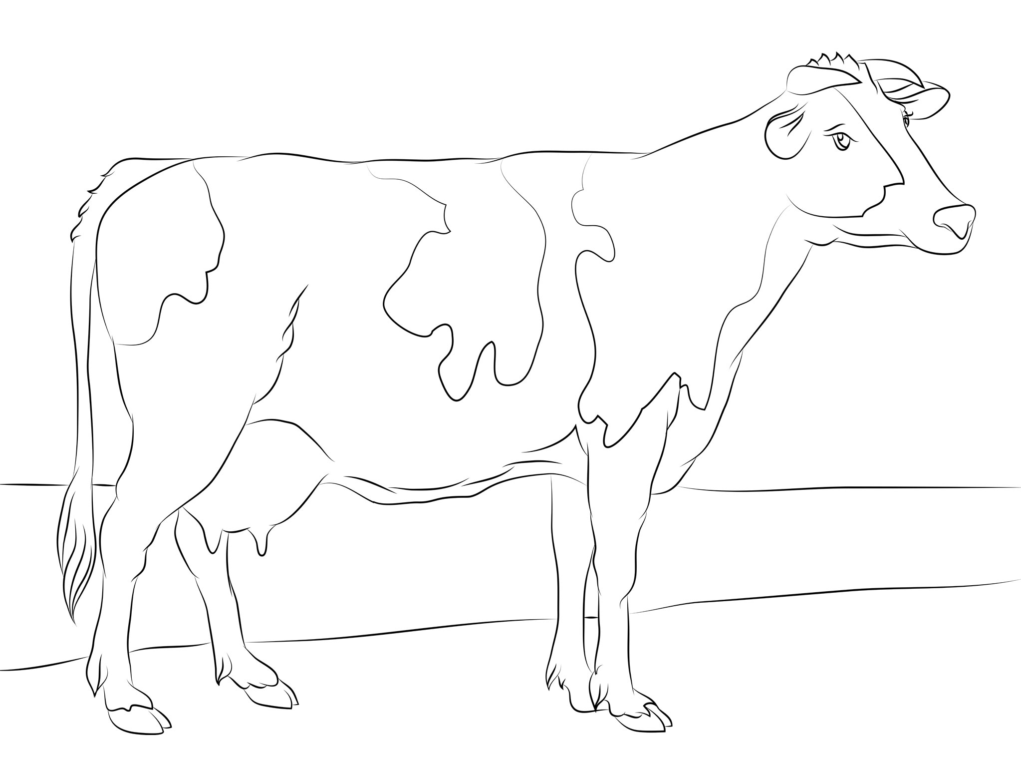 105 Cow Coloring Pages for Kids Printable 58