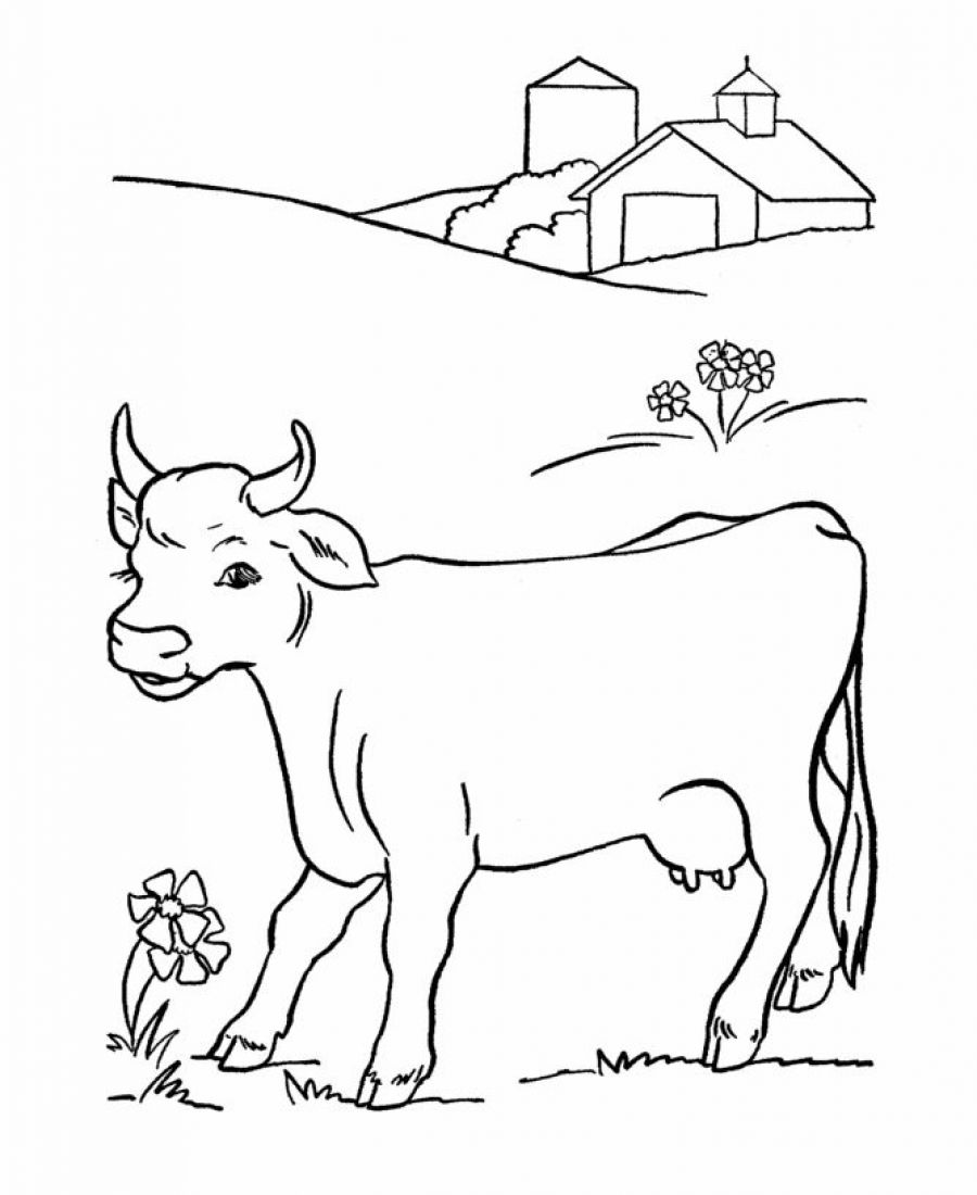 105 Cow Coloring Pages for Kids Printable 60