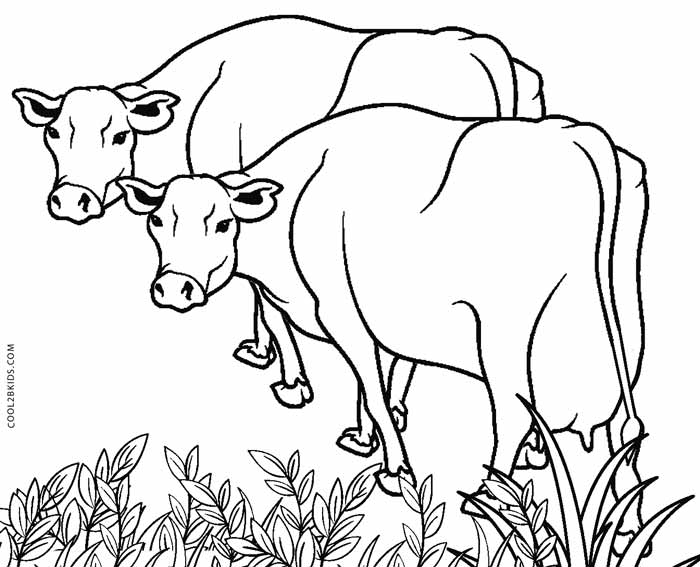 105 Cow Coloring Pages for Kids Printable 64