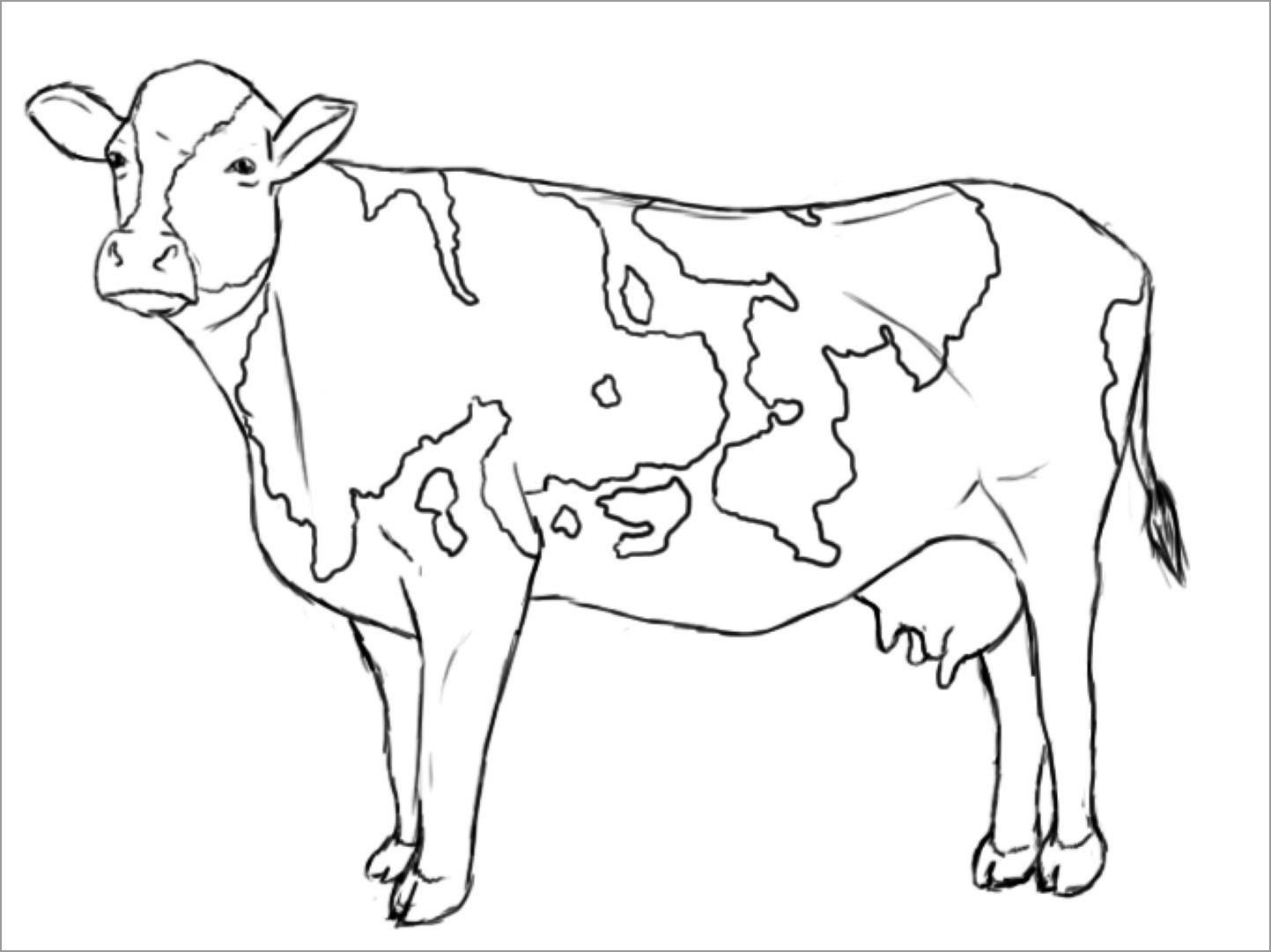 105 Cow Coloring Pages for Kids Printable 68