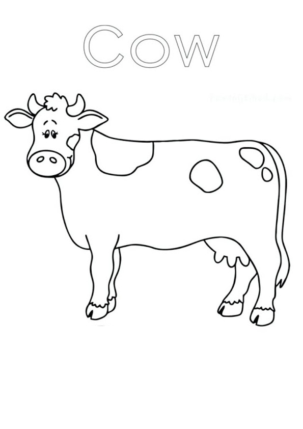 105 Cow Coloring Pages for Kids Printable 70