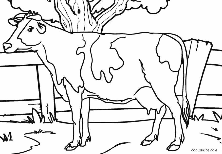 105 Cow Coloring Pages for Kids Printable 75