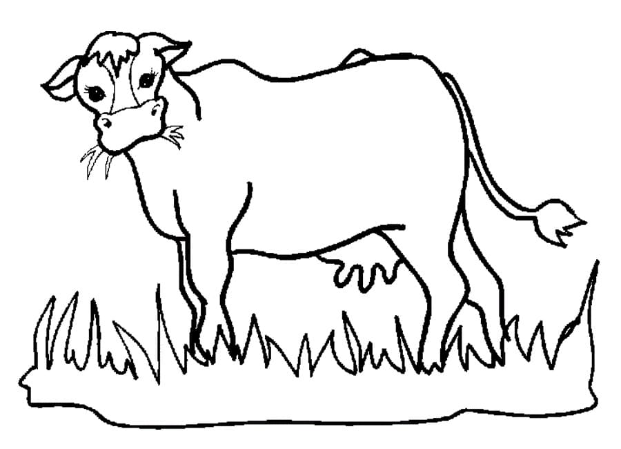 105 Cow Coloring Pages for Kids Printable 77